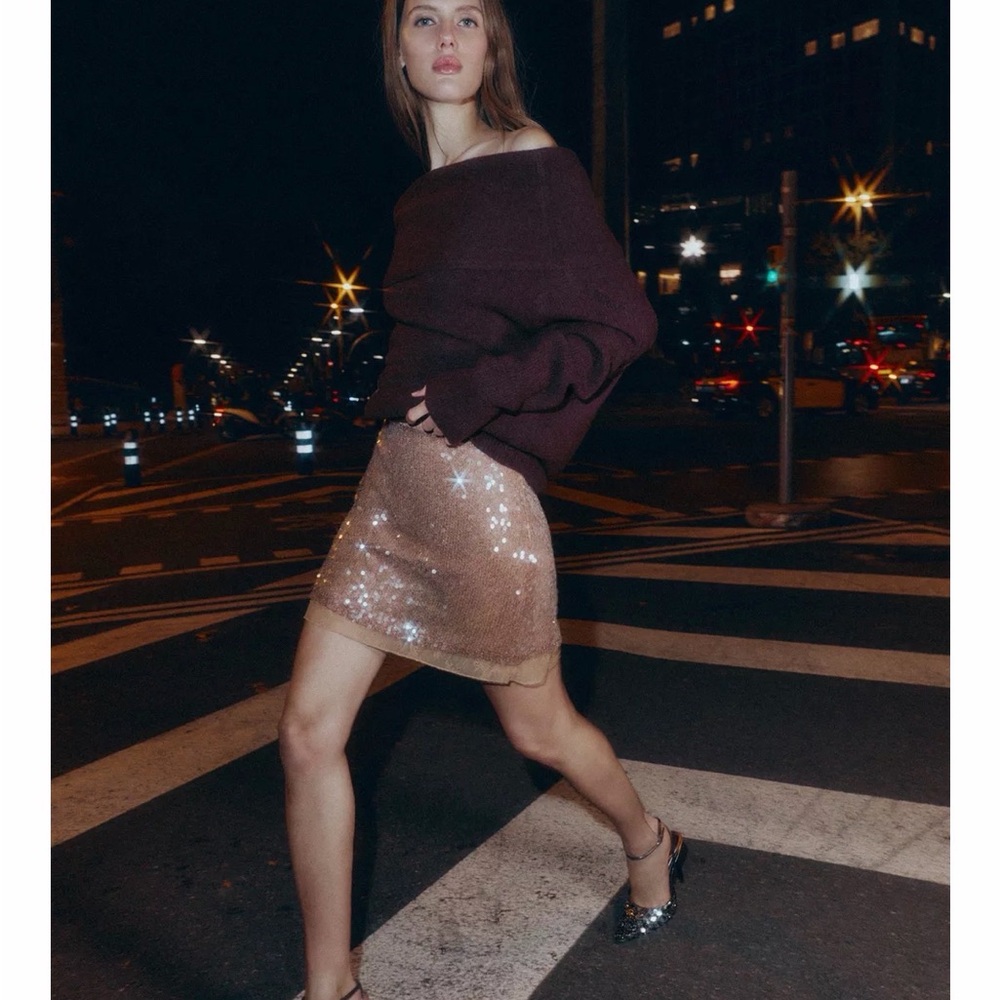 Zara Viral Sequin Lace Skirt Size Large